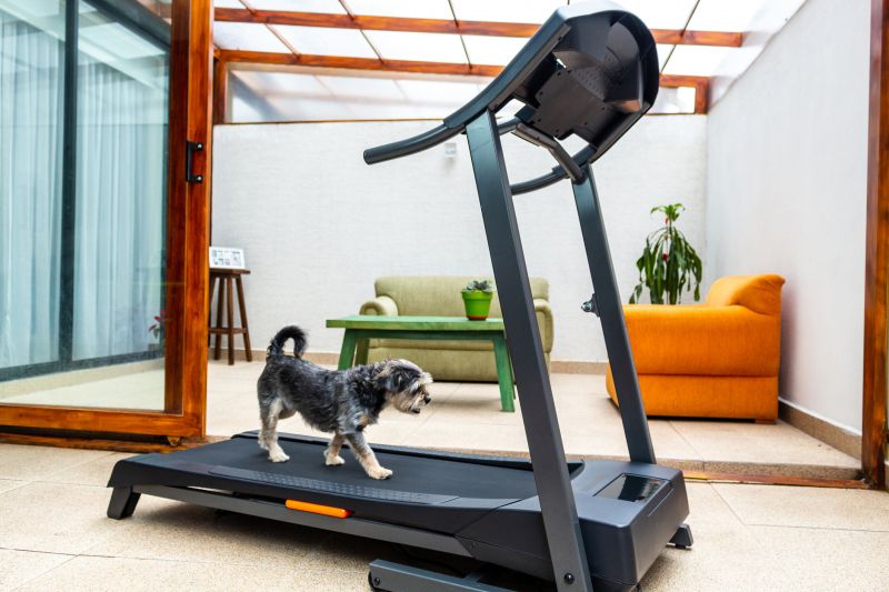 Cost of Treadmill Assembly — Cost of Treadmill Assembly